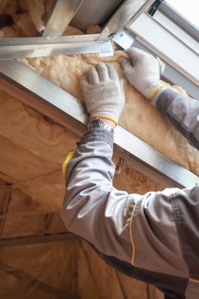 Best Insulation Maintenance and Repair in Mount Jackson, VA